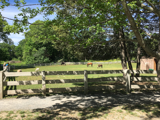 Park «Endicott Park (Town of Danvers)», reviews and photos, 57 Forest St, Danvers, MA 01923, USA