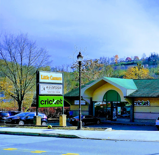 Cell Phone Store «Cricket Wireless Authorized Retailer», reviews and photos, 23 N Central Ave, Canonsburg, PA 15317, USA