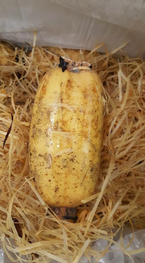 Asian Grocery Store «Dragon Supermarket», reviews and photos, 40 S Reynolds Rd, Toledo, OH 43615, USA