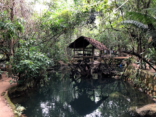 Top 14 cửa hàng sữa nestle Huyện Khánh Vĩnh Khánh Hòa 2022