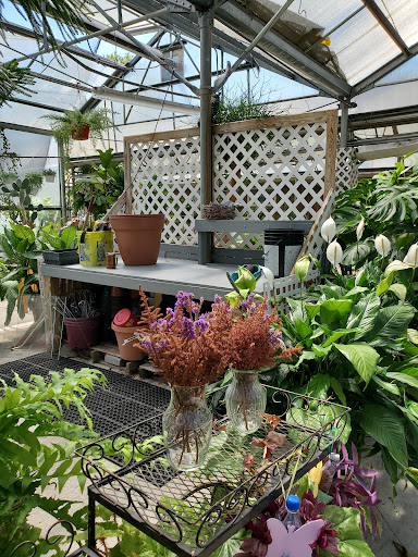 Wildlife Park «Wildlife & Ecology Center», reviews and photos, 249 Buckley Rd, Holtsville, NY 11742, USA