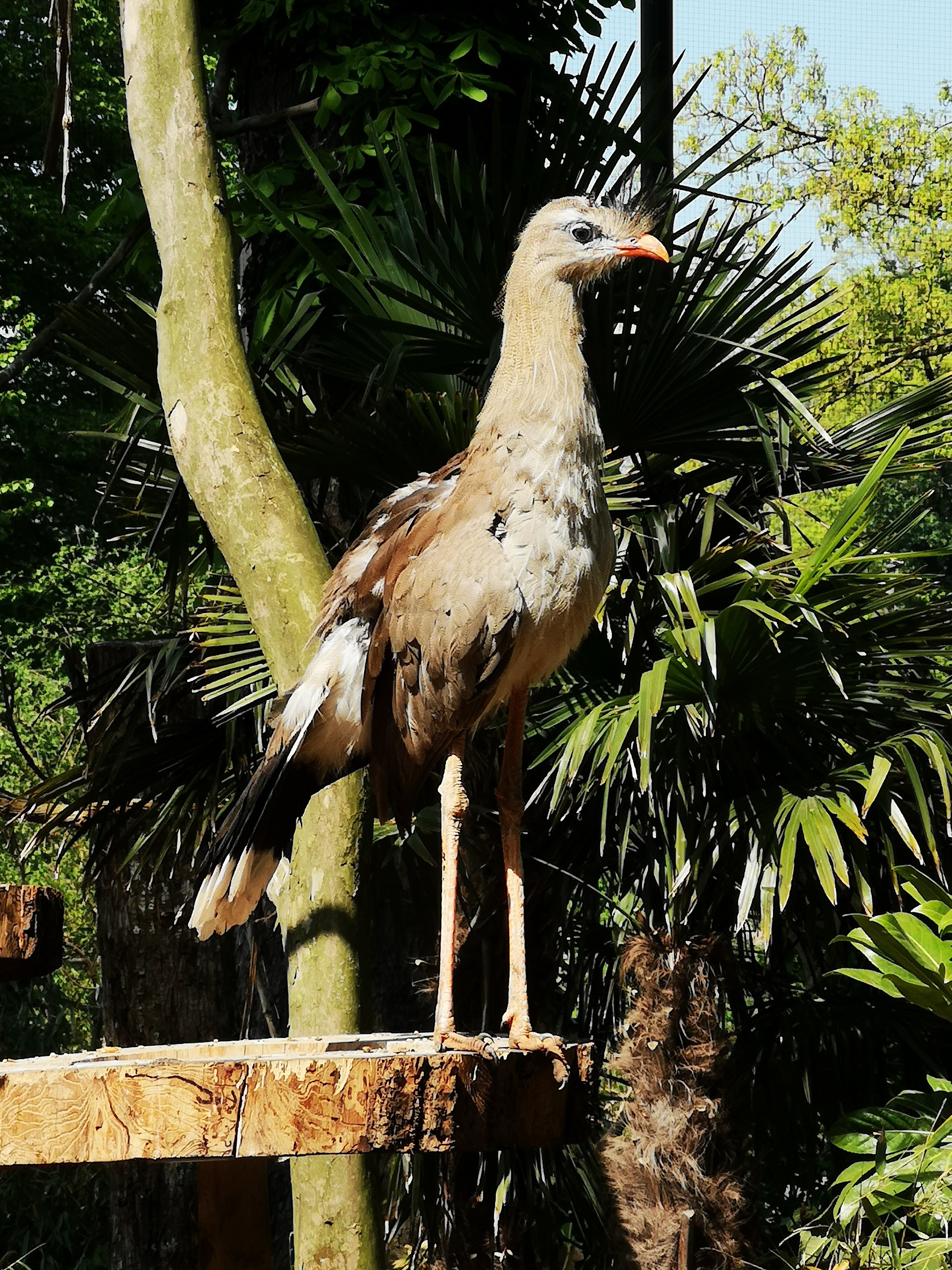 Photo n° 30 de l'avis de Bryan.r fait le 24/04/2018 à 19:19