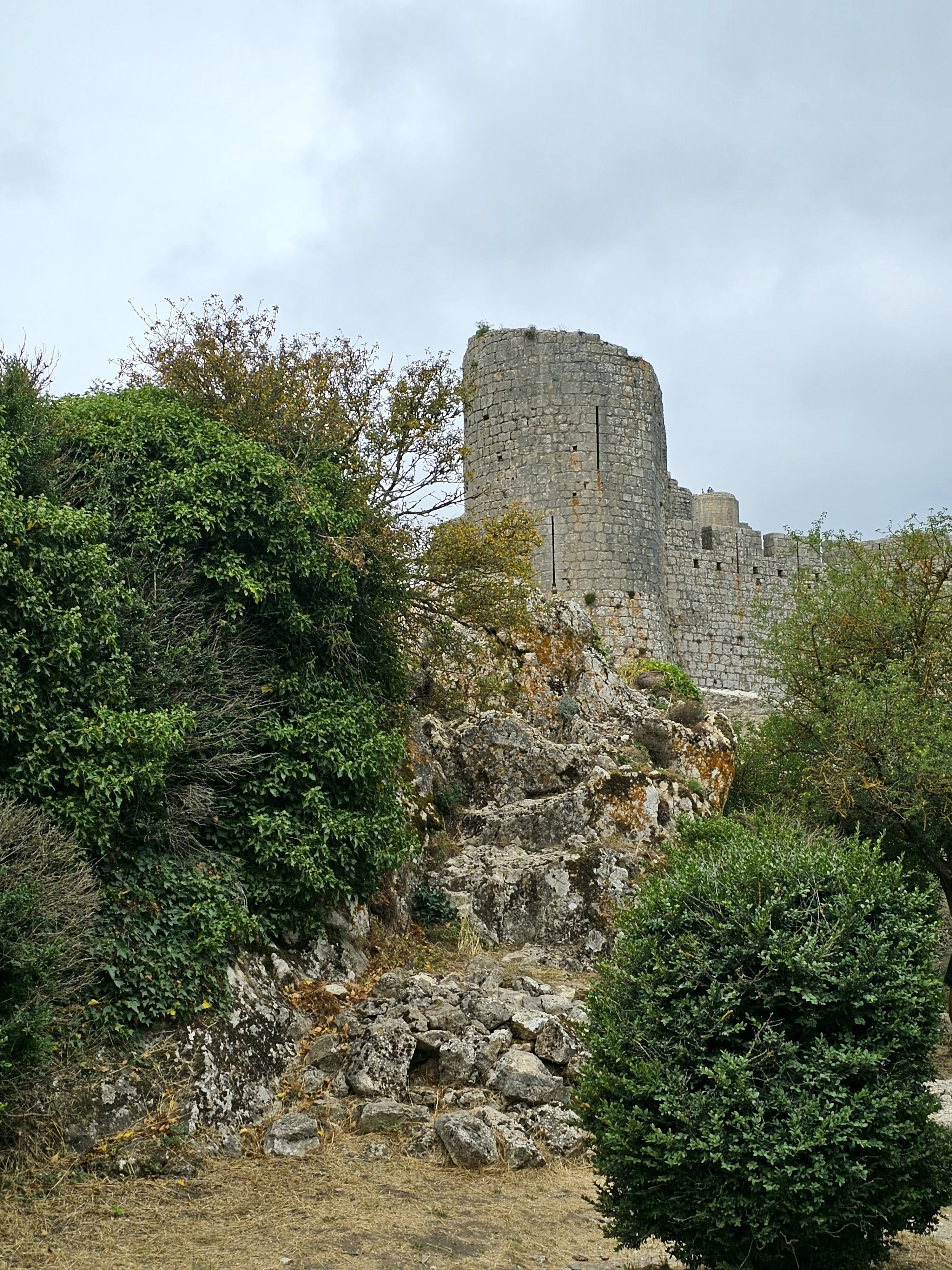 Photo n° 9 de l'avis de Pascal.h fait le 31/08/2023 à 08:48