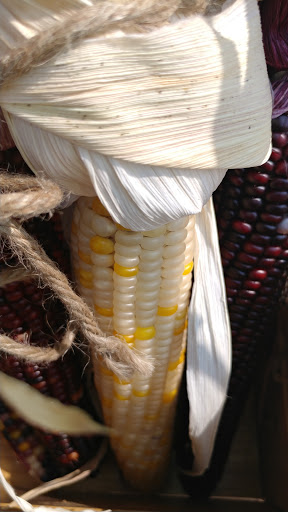 Health Food Store «Lexington Cooperative Market», reviews and photos, 807 Elmwood Ave, Buffalo, NY 14222, USA