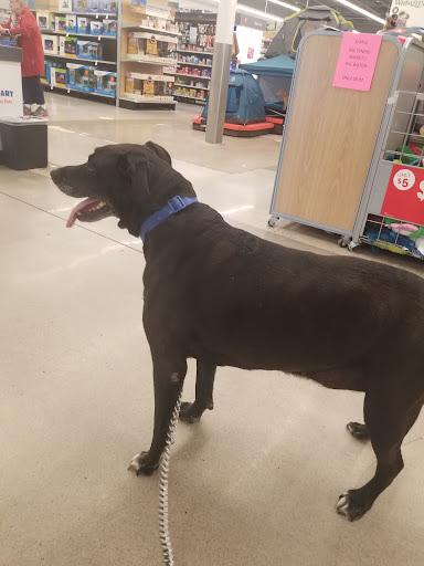 Pet Store «PetSmart», reviews and photos, 267 Berlin Turnpike, Berlin, CT 06037, USA