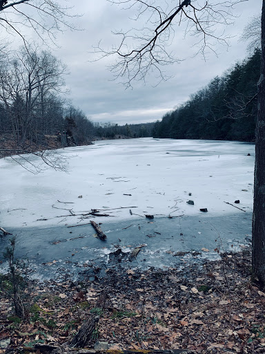 Nature Preserve «John Burroughs Slabsides», reviews and photos, Burroughs Dr, West Park, NY 12493, USA