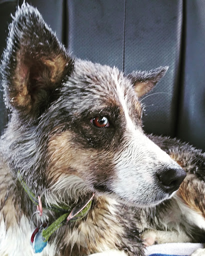 Bicycle Store «Jerks Bike Shop», reviews and photos, 4967 S. State St., Murray, UT 84107, USA