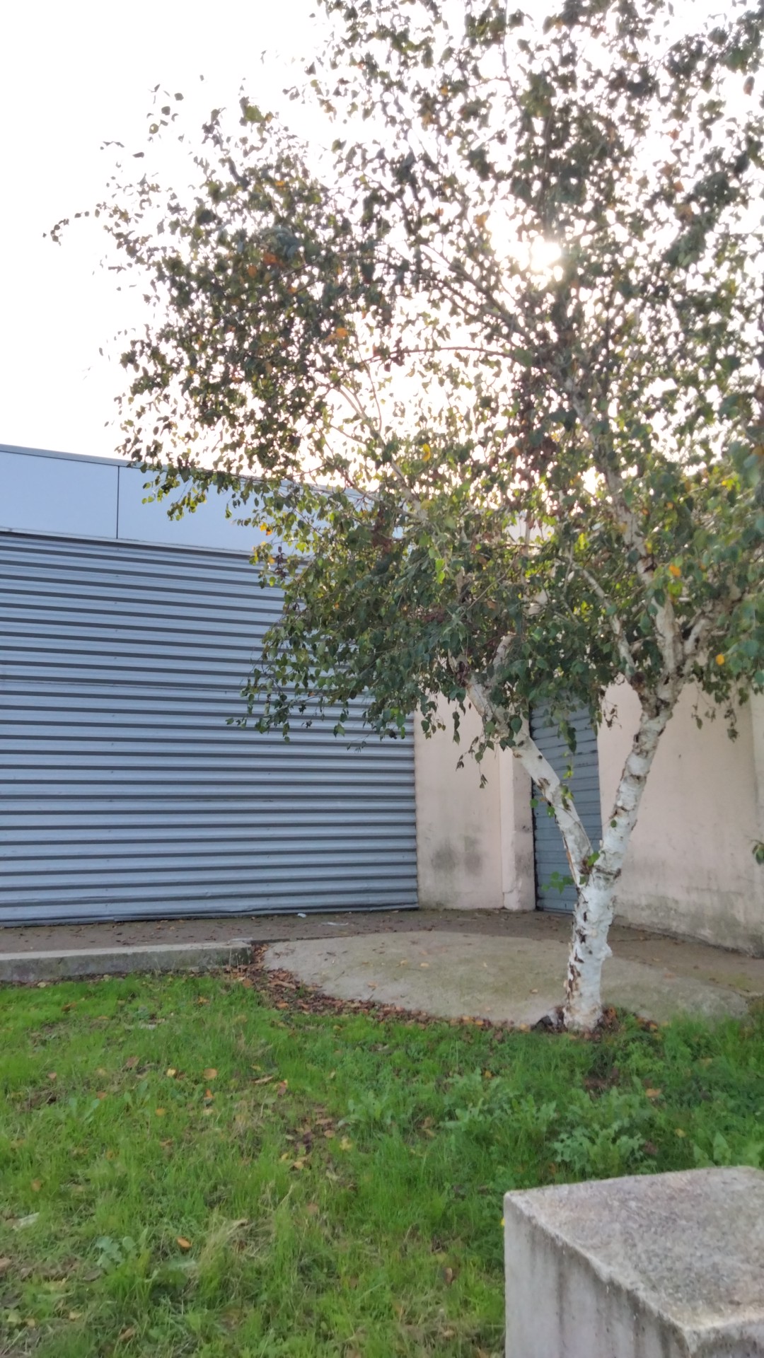 Photo n° 34 de l'avis de Francisco.a fait le 22/10/2022 à 12:01