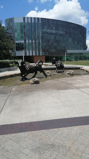 Book Store «USF Bookstore Literary Cafe», reviews and photos, 4105 USF Cedar Dr, Tampa, FL 33620, USA