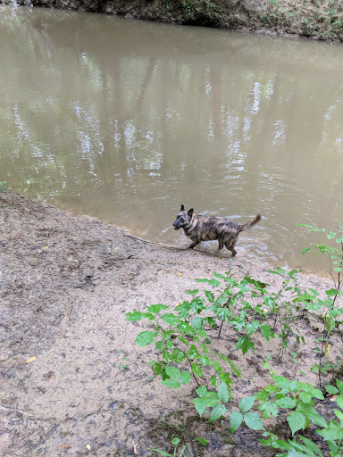 Swift Creek Bluffs Nature Preserve