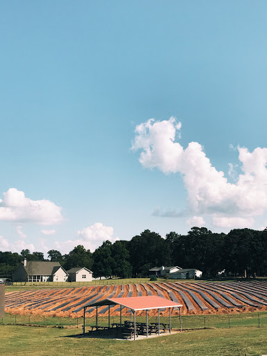 Farm «Warbington Farms (U-Pick Strawberries)», reviews and photos, 5555 Crow Rd, Cumming, GA 30041, USA