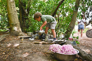 Little Kiwis Nature Play