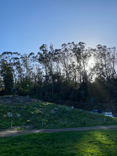 Cafe «Warming Hut Cafe», reviews and photos, 983 Marine Dr, San Francisco, CA 94129, USA