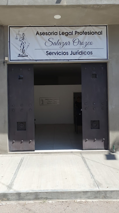 Asesoria Legal Profesional Salazal Orozco/ Rio Grande