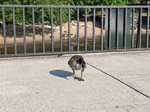 Park «Fort Washington Park», reviews and photos, Hudson River Greenway, New York, NY 10032, USA