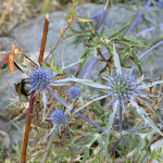 Photo n°12 de l'avis de Giuseppe.r fait le 30/08/2016 à 06:43 sur le  Casali di Cartore à Borgorose