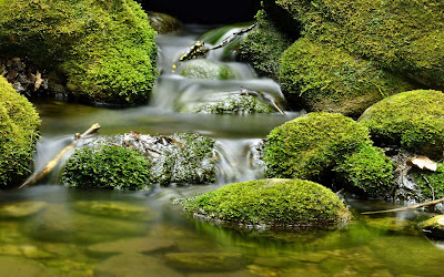 Zen'o Jardin à Morbier