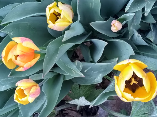 Bicycle Store «Bikes Together», reviews and photos, 2825 Fairfax St, Denver, CO 80207, USA