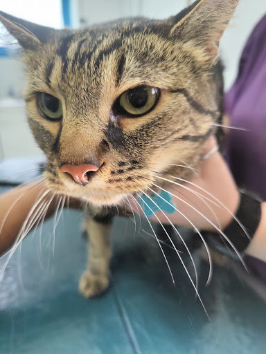 Parowan Valley Veterinary Clinic