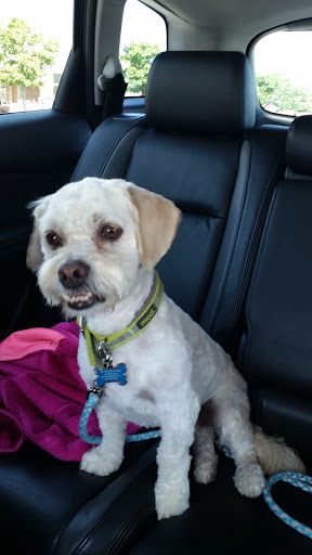 Pet Supply Store «PetSmart», reviews and photos, 128 Bailey Farm Rd, Monroe, NY 10950, USA