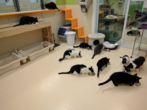 Shopping Mall «The Mall at The Source», reviews and photos, 1504 Old Country Rd, Westbury, NY 11590, USA