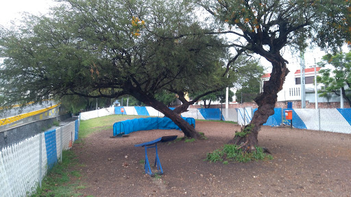 Parque para Perros Epigmenio González - detras de, epigmenio gonzales sin numero, Plaza del Parque, Santiago de Querétaro, Qro., México