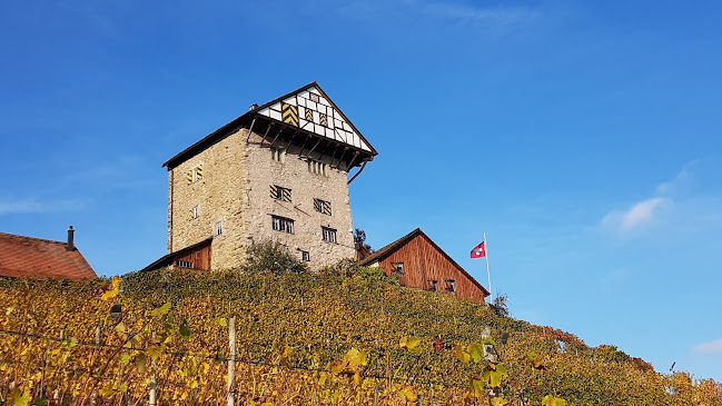 Burg Neu-Altstätten