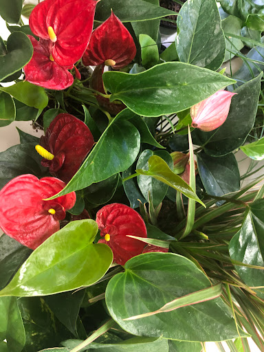 Pet Store «Pet Time», reviews and photos, 3141 W 11th Ave, Eugene, OR 97402, USA