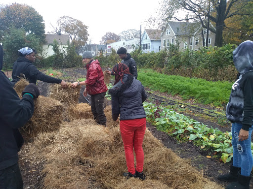 Ferry Street Farm