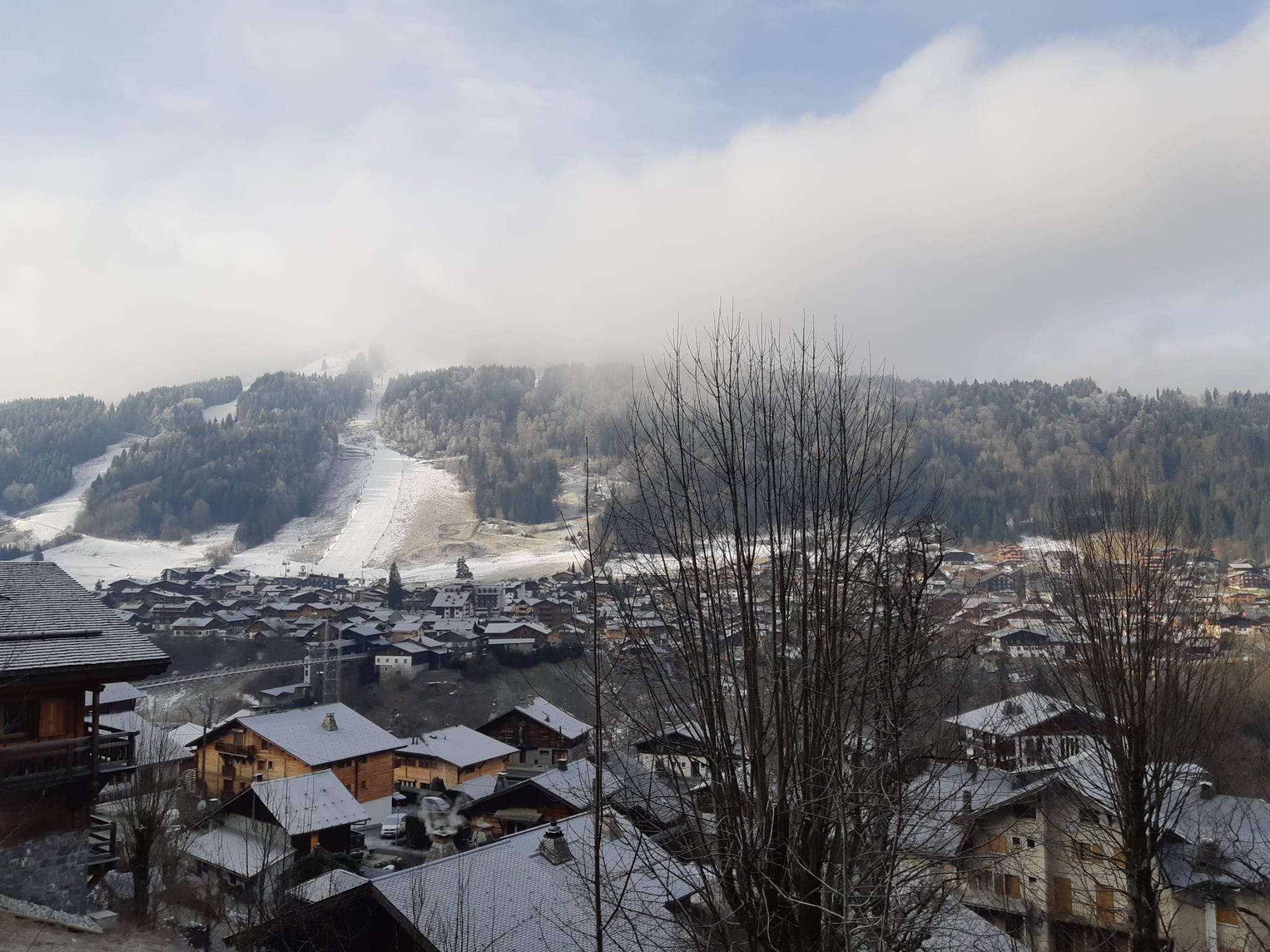 Photo n° 1 de l'avis de Belenkaya.n fait le 12/03/2023 à 07:35