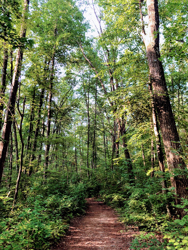 Park «Stoddard Park», reviews and photos, Norfolk St, Holliston, MA 01746, USA