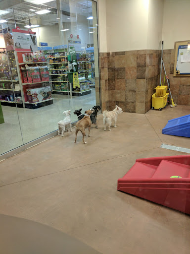 Dog stores Columbus