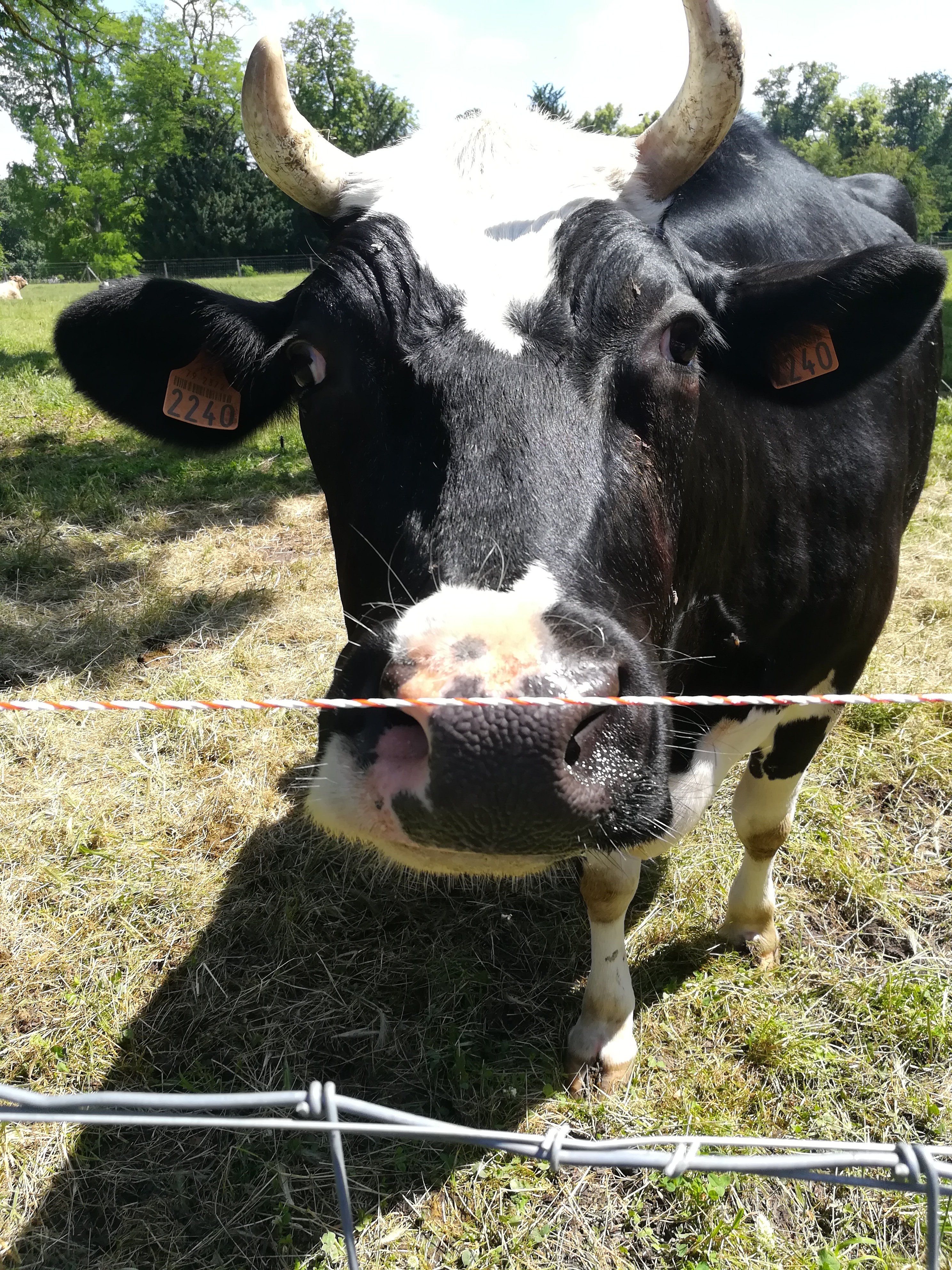 Photo n° 2 de l'avis de Majide.A fait le 12/06/2018 à 13:03