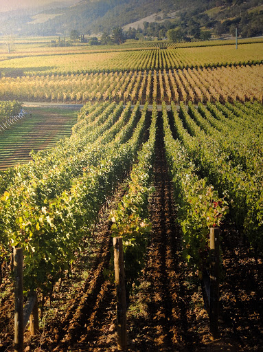 Hardware Store «Silverado Ace Hardware», reviews and photos, 1450 Lincoln Ave, Calistoga, CA 94515, USA