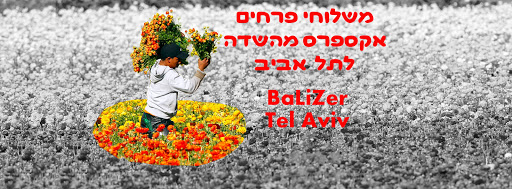 באליזר משלוחי פרחים תל אביב מרכז