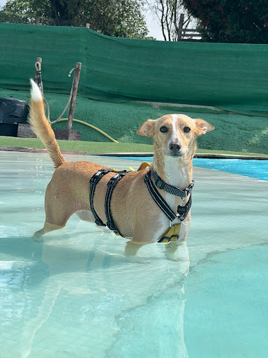 Aquapark Canino Can Jue en La Roca del Vallès, Barcelona