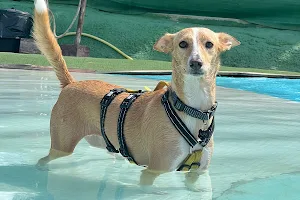 Aquapark Canino Can Jue image