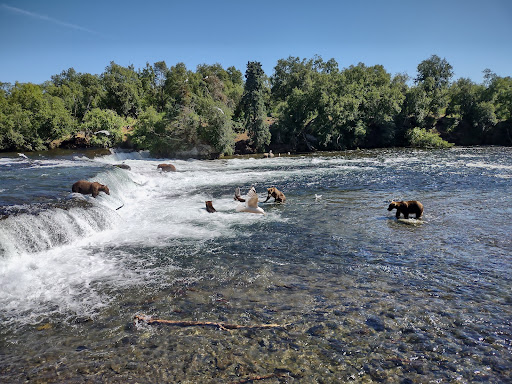 National Park «Katmai National Park and Preserve», reviews and photos