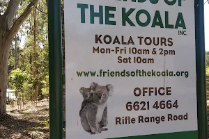 Friends of the Koala image