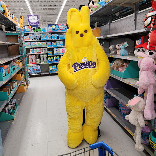 Department Store «Walmart Supercenter», reviews and photos, 1112 Nashville Pike, Gallatin, TN 37066, USA