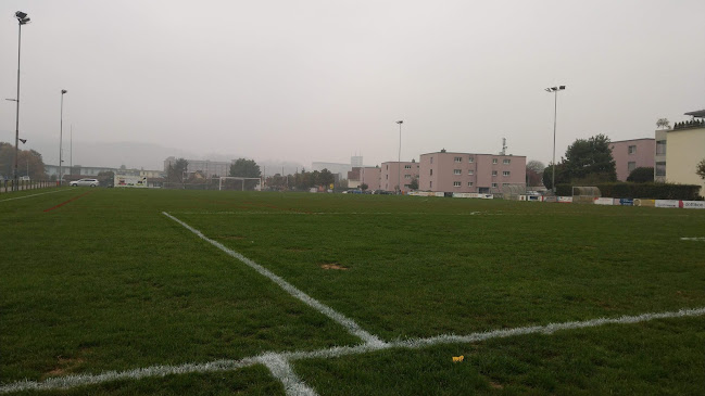 Fussballplatz Eschenmoos Dottikon - Sportstätte