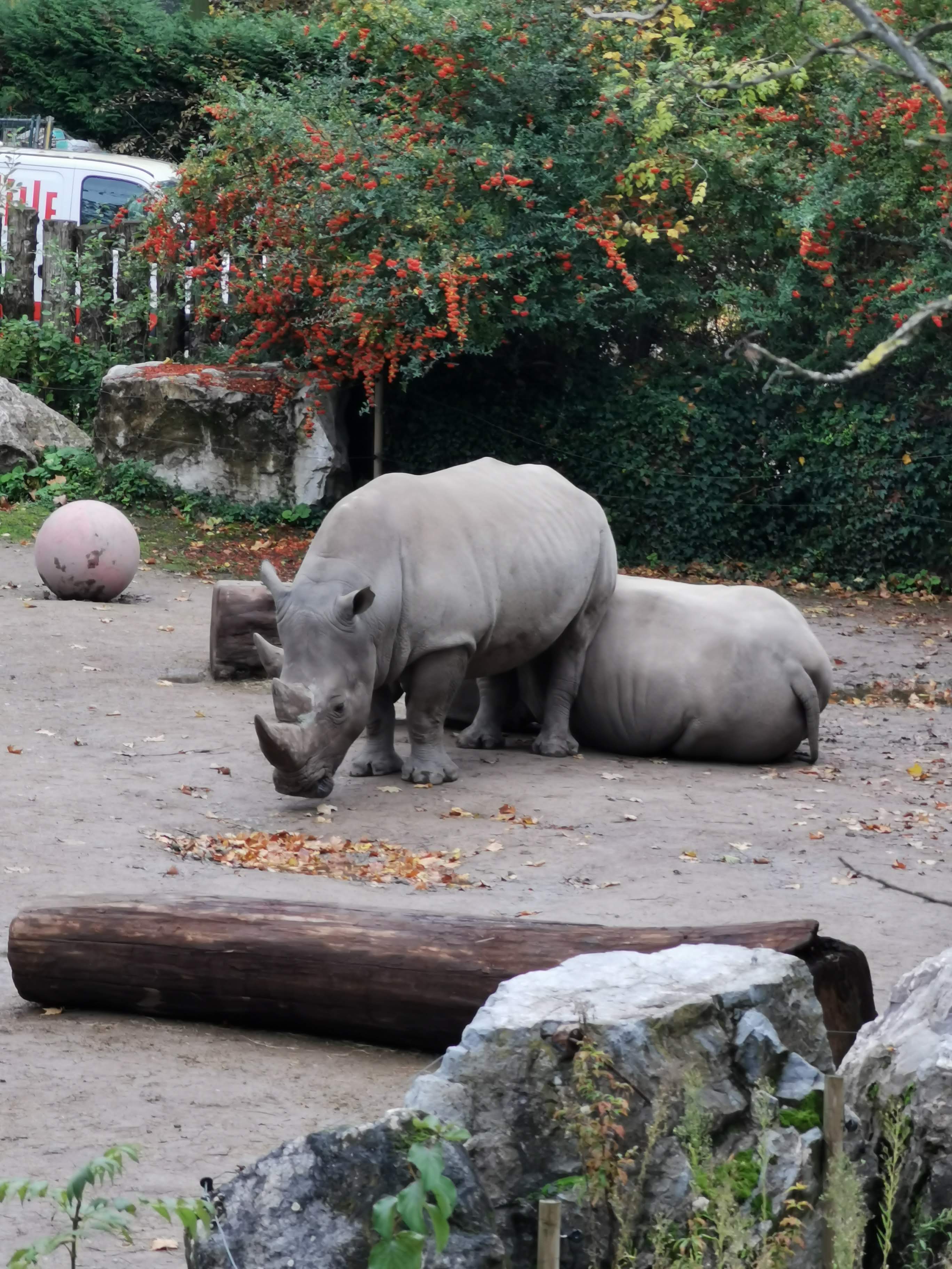 Photo n° 1 de l'avis de Melanie.E fait le 25/10/2020 à 20:05