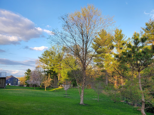 Park «Gough Park», reviews and photos, 9300 Honeygo Blvd, Perry Hall, MD 21128, USA