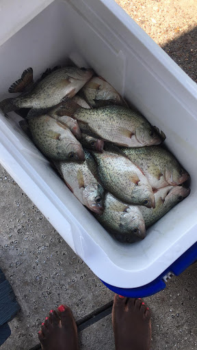 Bait Shop «Clarks Tackle», reviews and photos, 696 I-30 Frontage Rd, Garland, TX 75043, USA