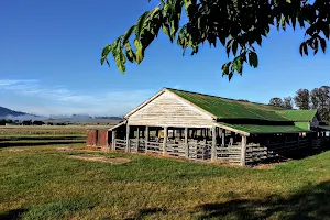 Braidwood Showground image