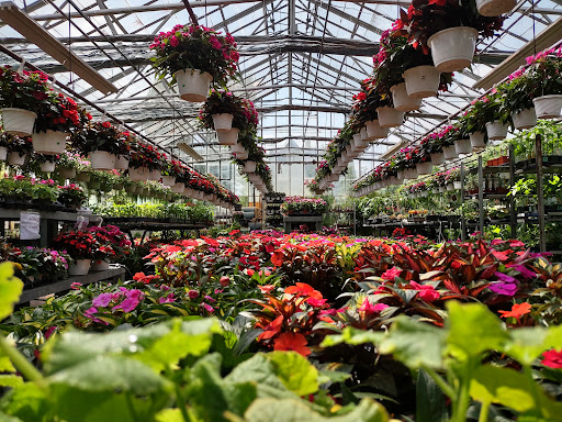 Garden Center «Westminster Nursery & Florist», reviews and photos, 30 Westminster Rd, West Hempstead, NY 11552, USA