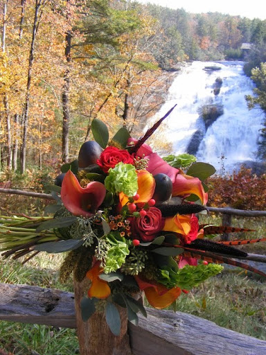 Florist «Stargazers Floral Designs», reviews and photos, 347 New Leicester Hwy #A, Asheville, NC 28806, USA