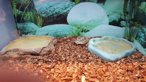 Pet Store «Paws Natural Pet Emporium», reviews and photos, 8551 W Gage Blvd, Kennewick, WA 99336, USA