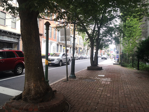 Pet Supply Store «BONeJOUR Pet Supply and Dog Wash», reviews and photos, 53 N 3rd St, Philadelphia, PA 19106, USA