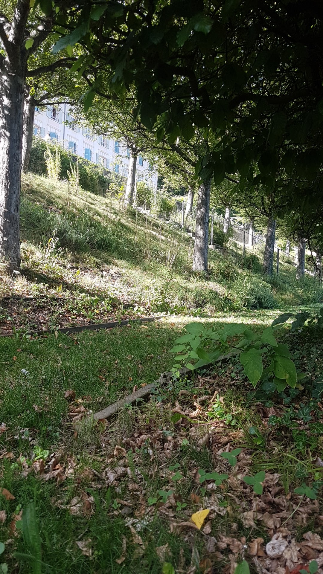 Photo n° 1 de l'avis de Charles.o fait le 17/08/2023 à 15:11